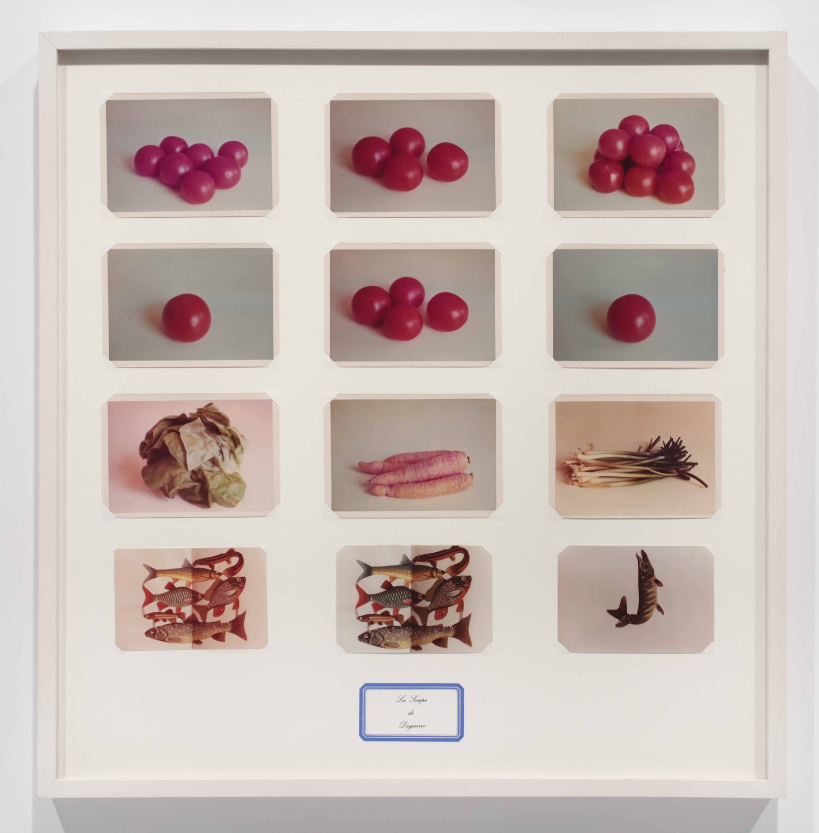 Marcel Broodthaers, La Soupe de Daguerre, 1974