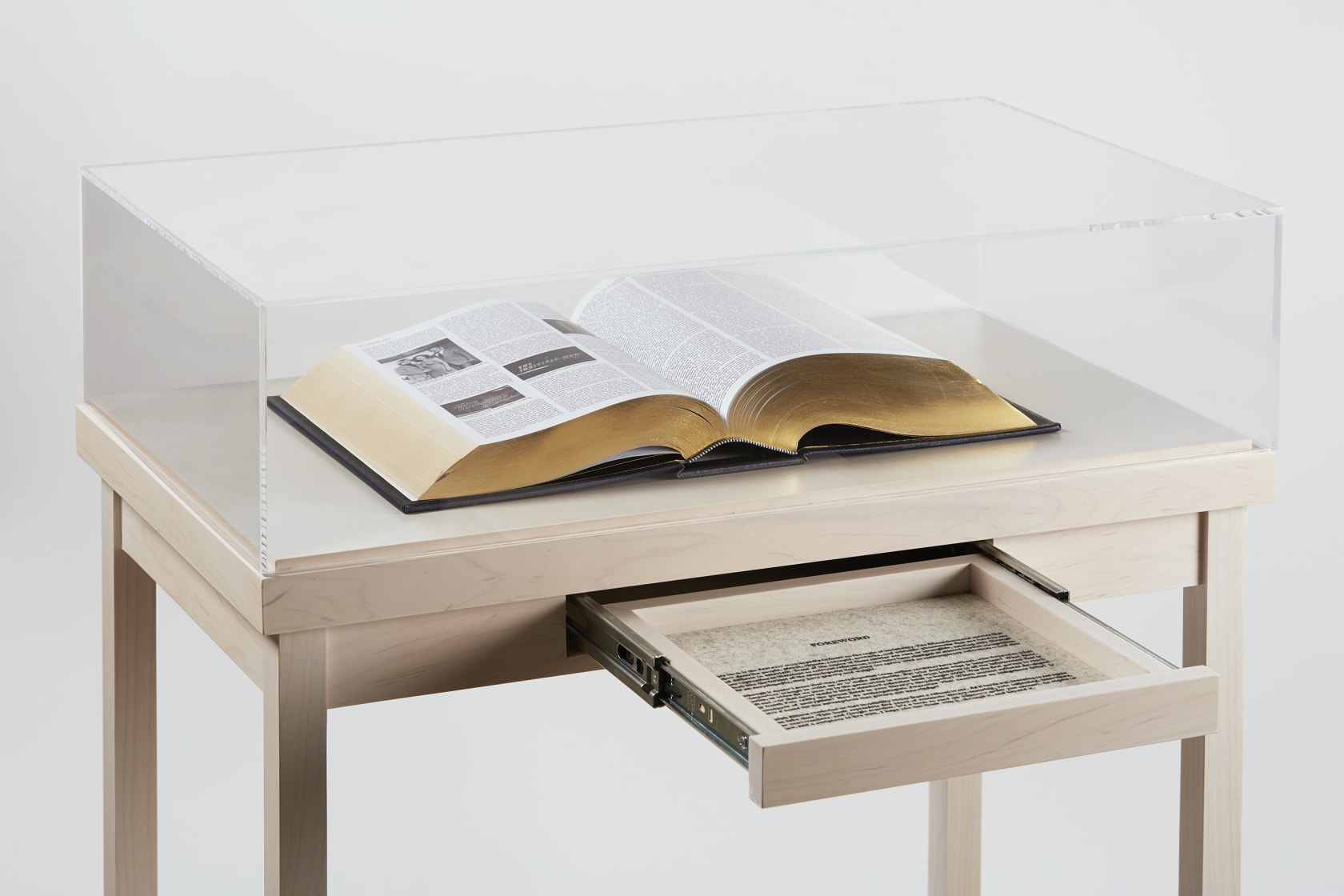 Tavares Strachan, The Encyclopedia of Invisibility, 2021