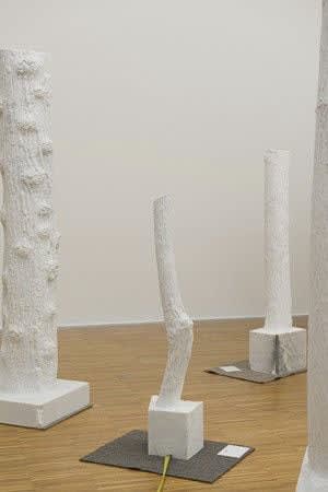 Giuseppe Penone Indistinti confini - Ariminus (Indistinct Boundaries - Ariminus), 2012