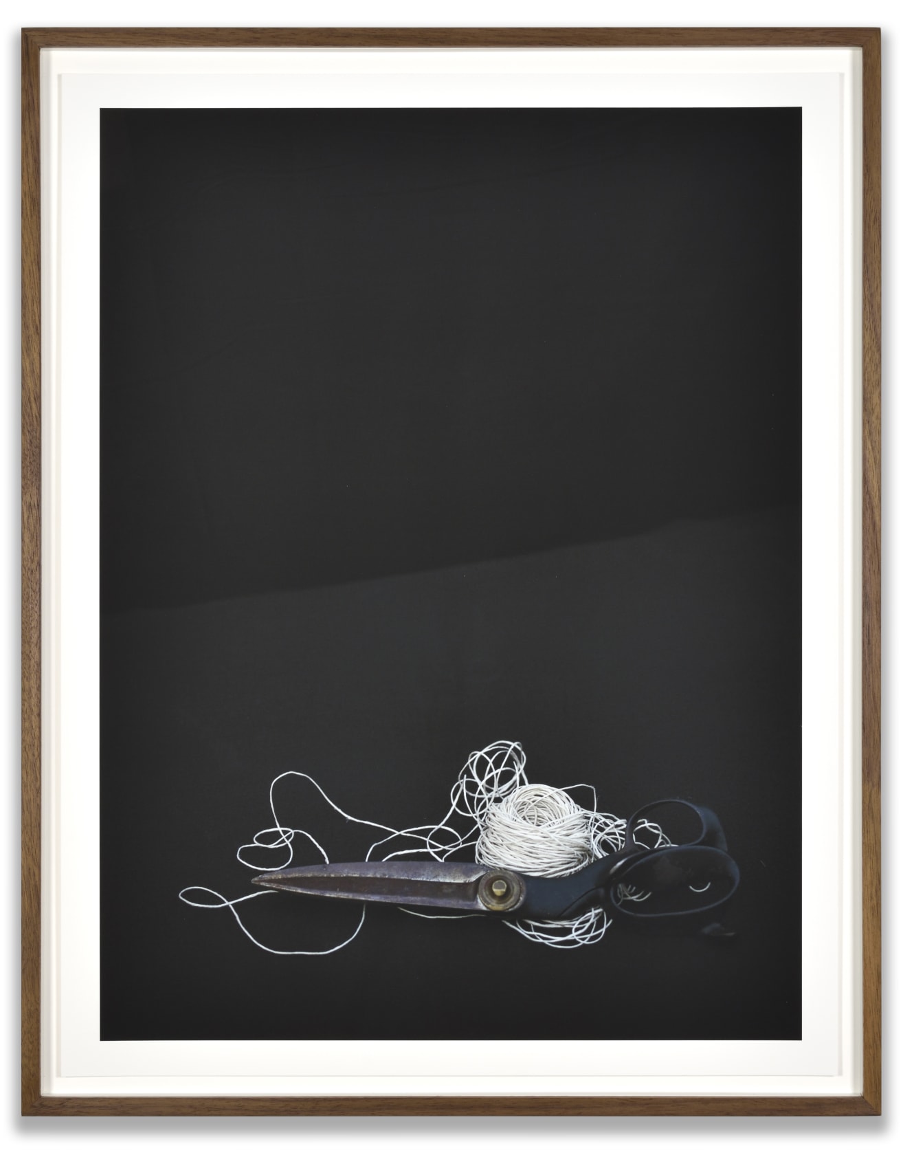 Luciano Perna June 9, 2020, 7:18 pm, Scissors and String, 2020