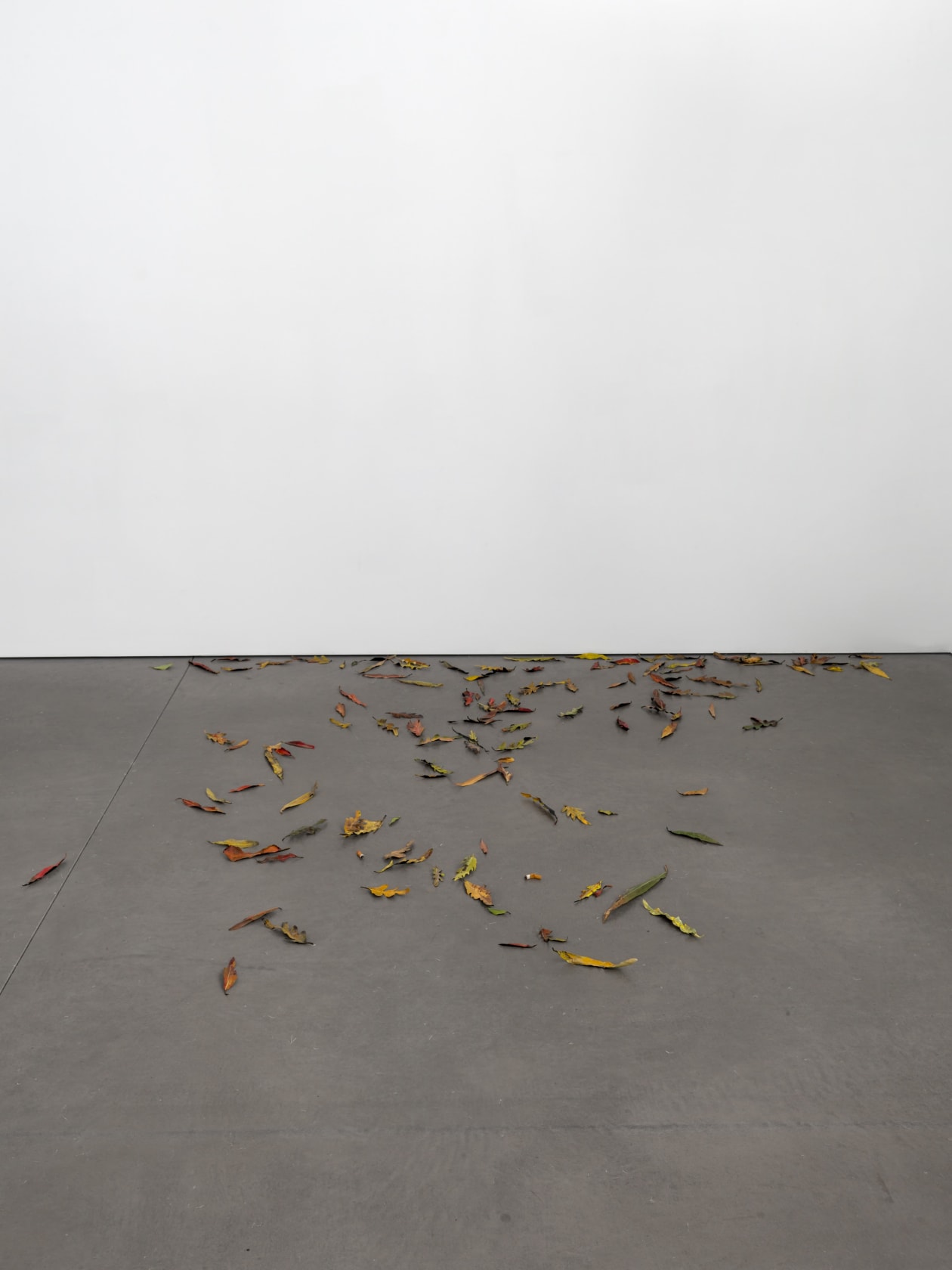 Álvaro Urbano, He would always leave a window open, even at night, 2025