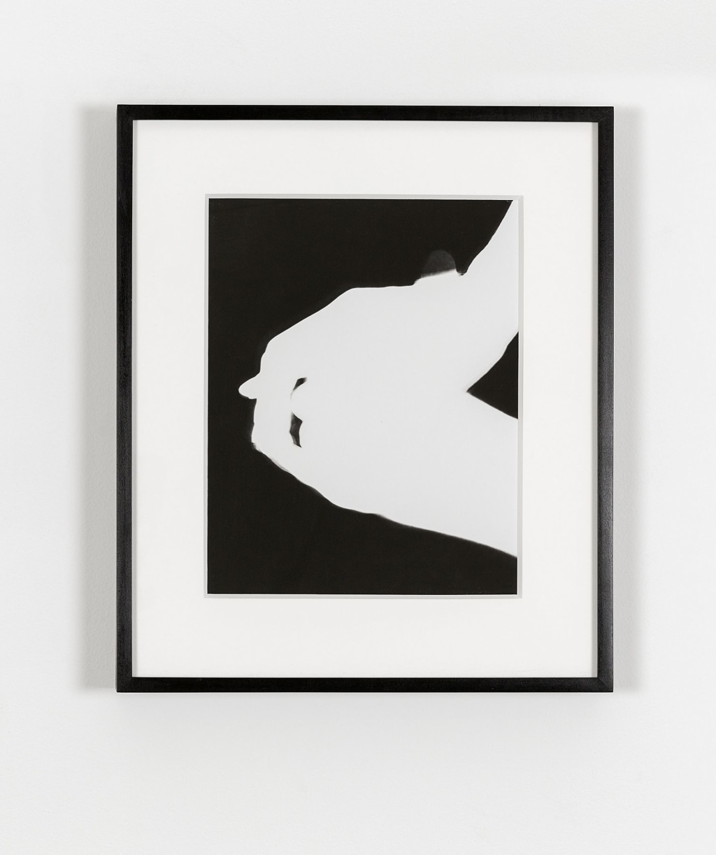 James Welling Hands 1