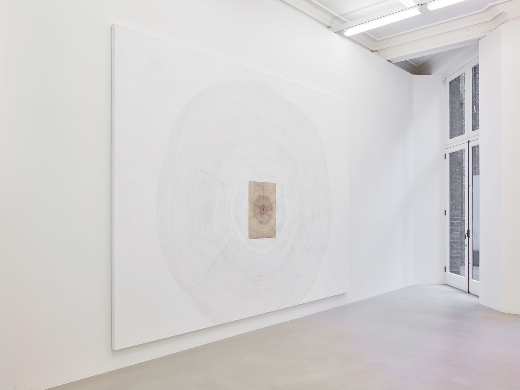 Giuseppe Penone Propagazione, 2011