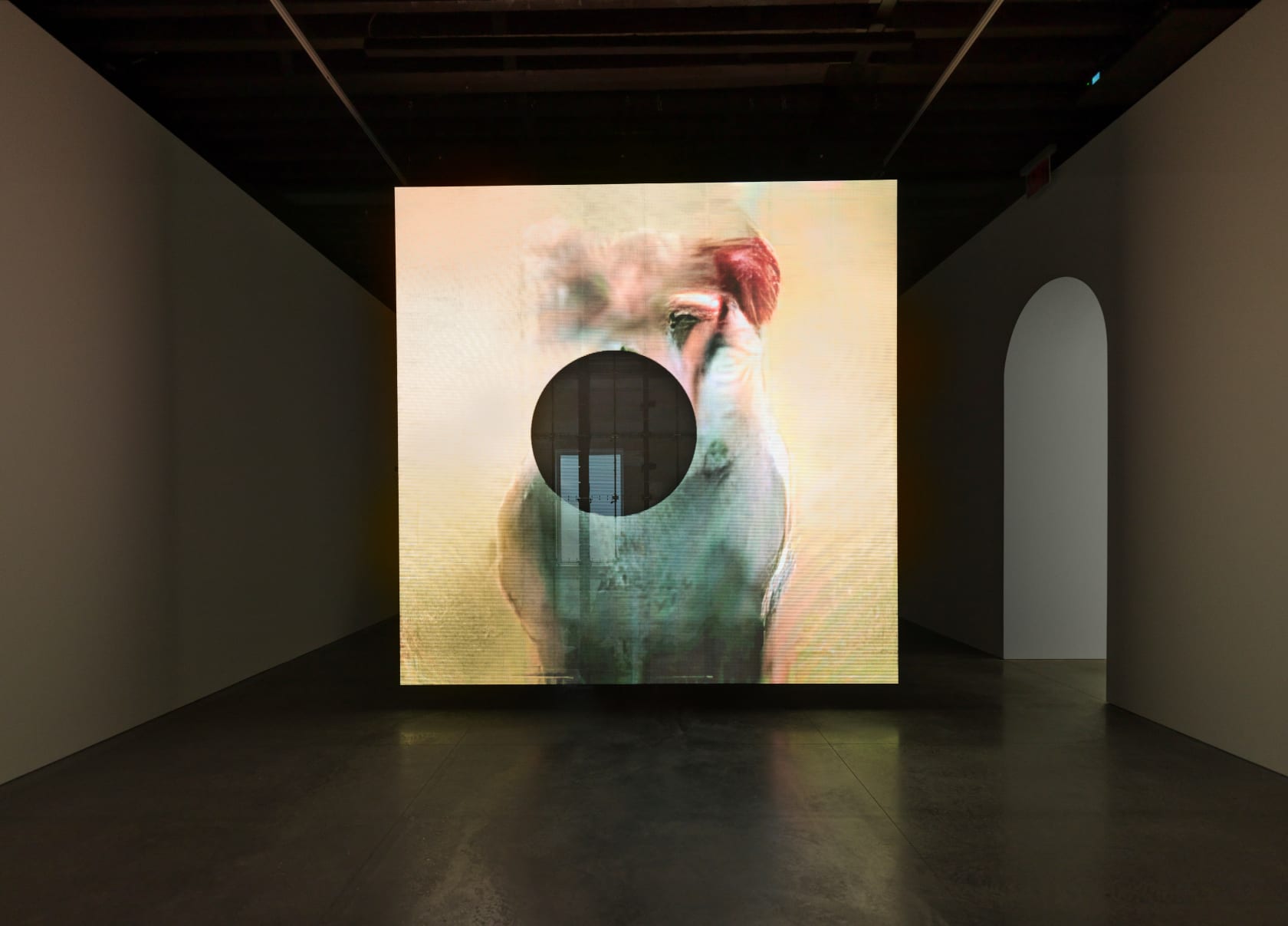 Pierre Huyghe, Annlee – UUmwelt, 2018-2024