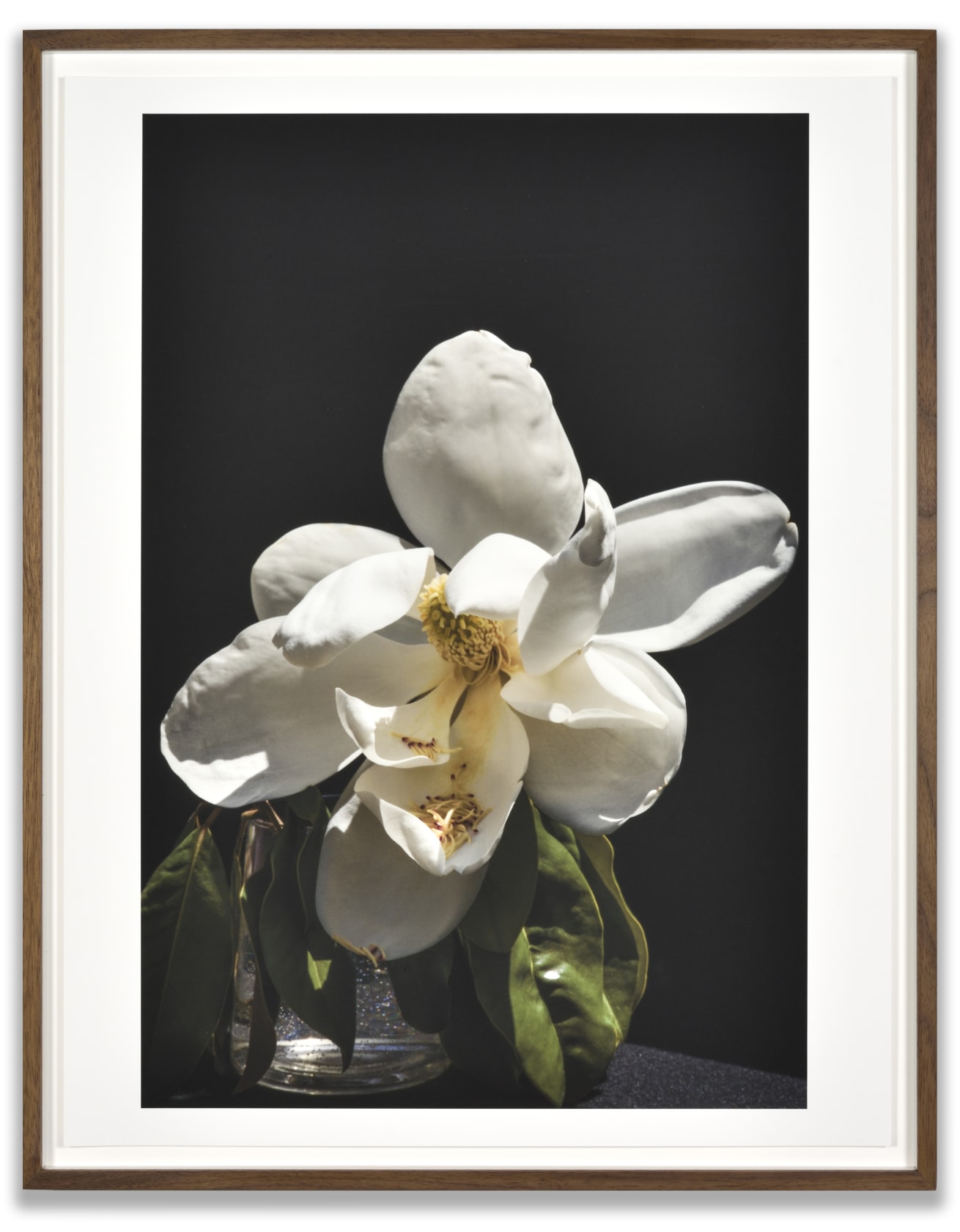 Luciano Perna June 14, 2020, 7:49 pm, Magnolia, 2020