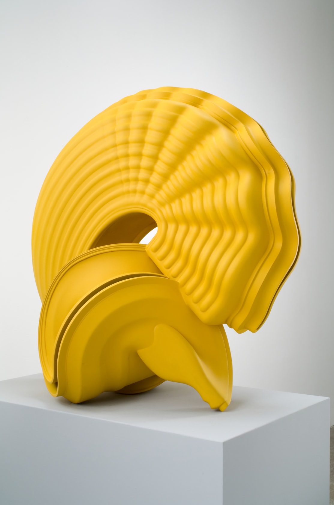 Tony Cragg Outspan, 2007