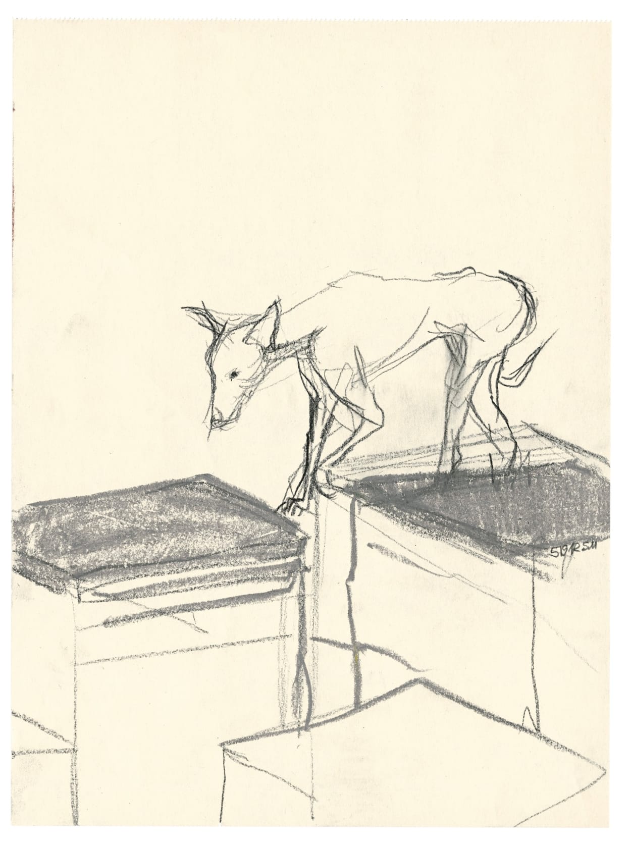 Sabine Moritz, Hund I-III/Dog I-III, 2012