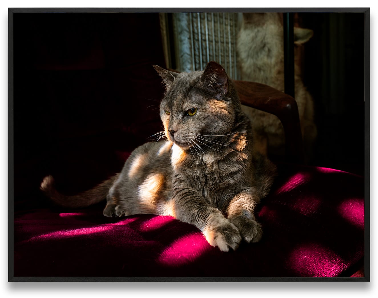 Nan Goldin Gaja with a coyote, Brooklyn, NY, 2020 Dye sublimation print on aluminum 30 x 40 in. (76.2 x...