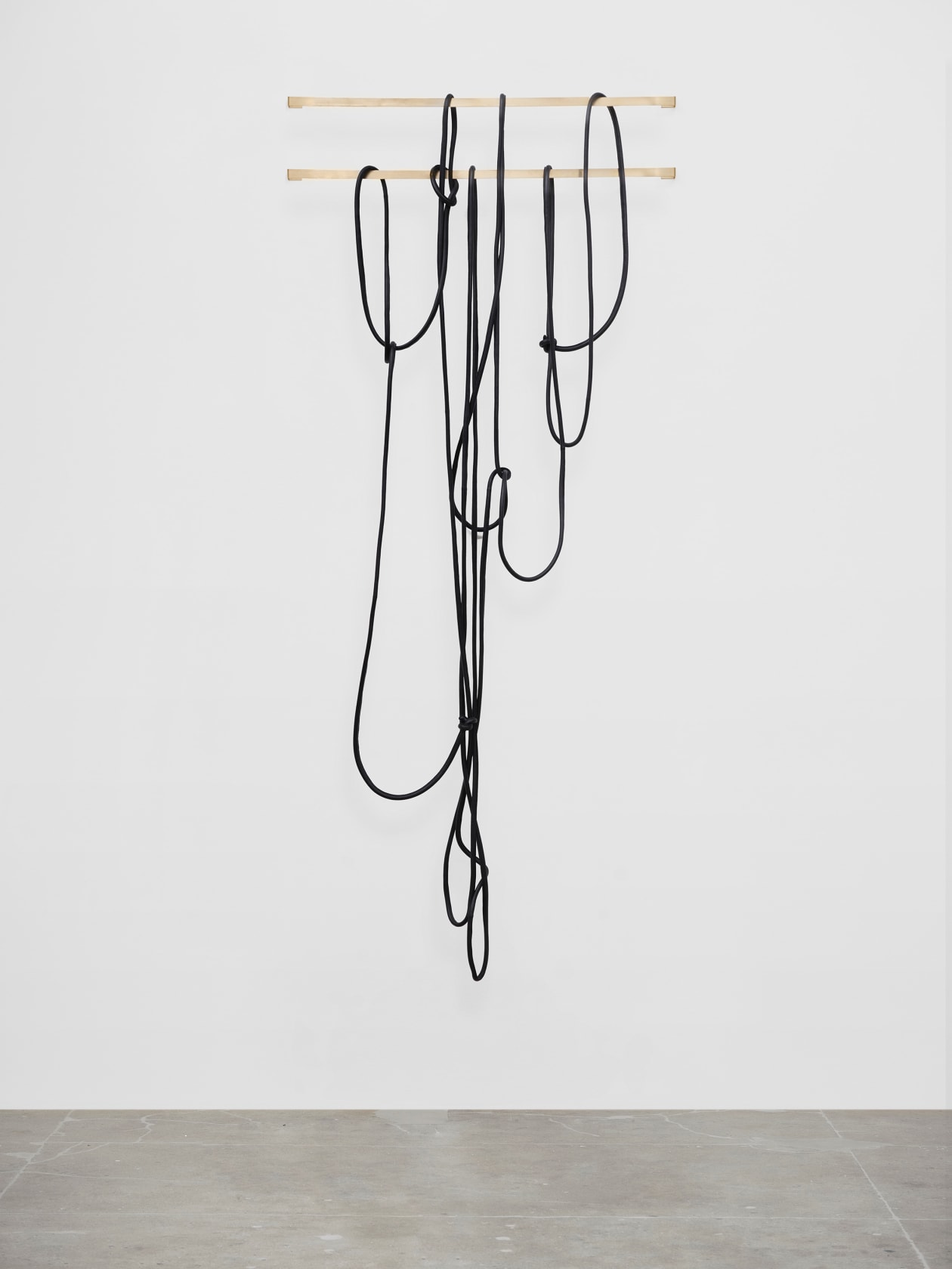 Leonor Antunes discrepancies with W.W. #11, 2025 Leather, rope Dimensions variable laid flat dims: 164'x7/8'