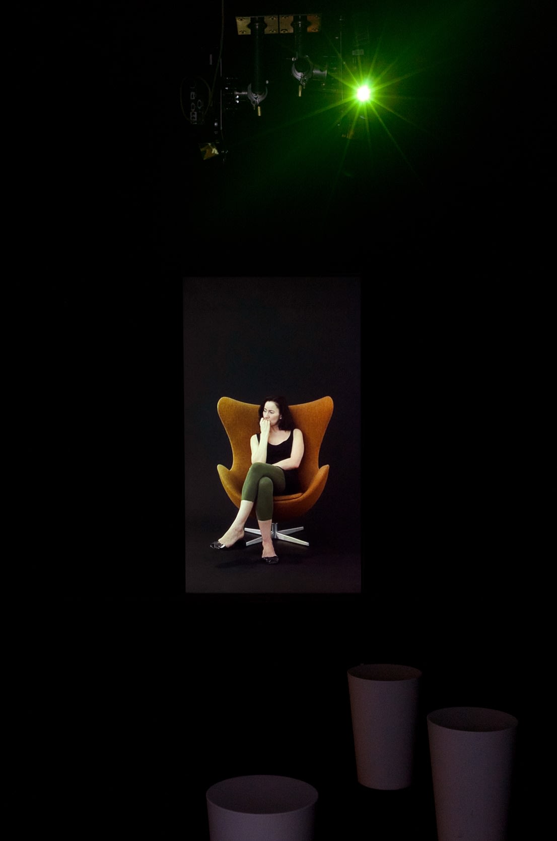 Andrea Fraser, Projection, 2007