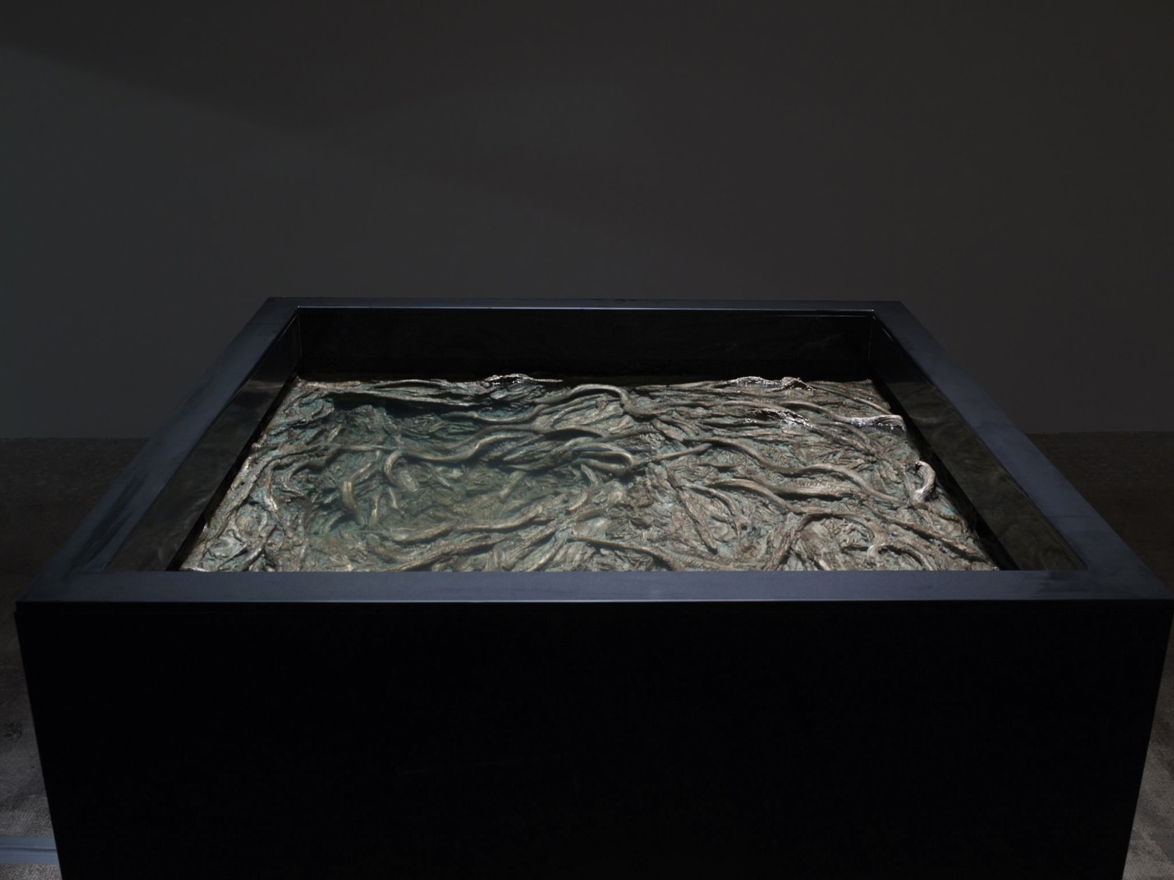 Cristina Iglesias Pozo I (Variation 2), 2011