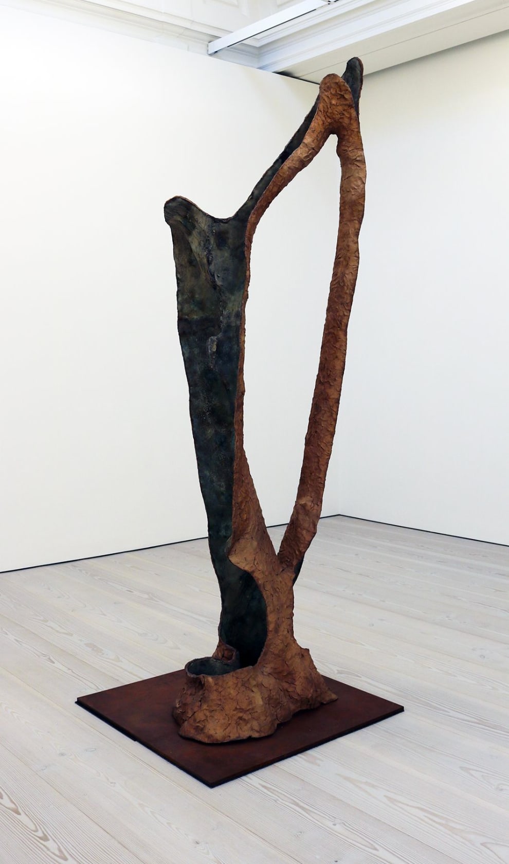 Giuseppe Penone, Dafne, 2014