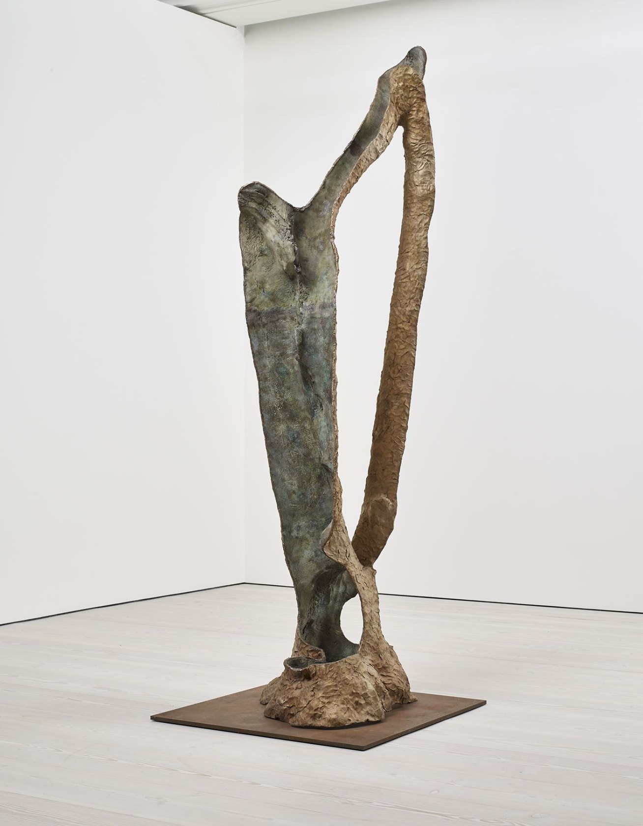 Giuseppe Penone, Dafne, 2014