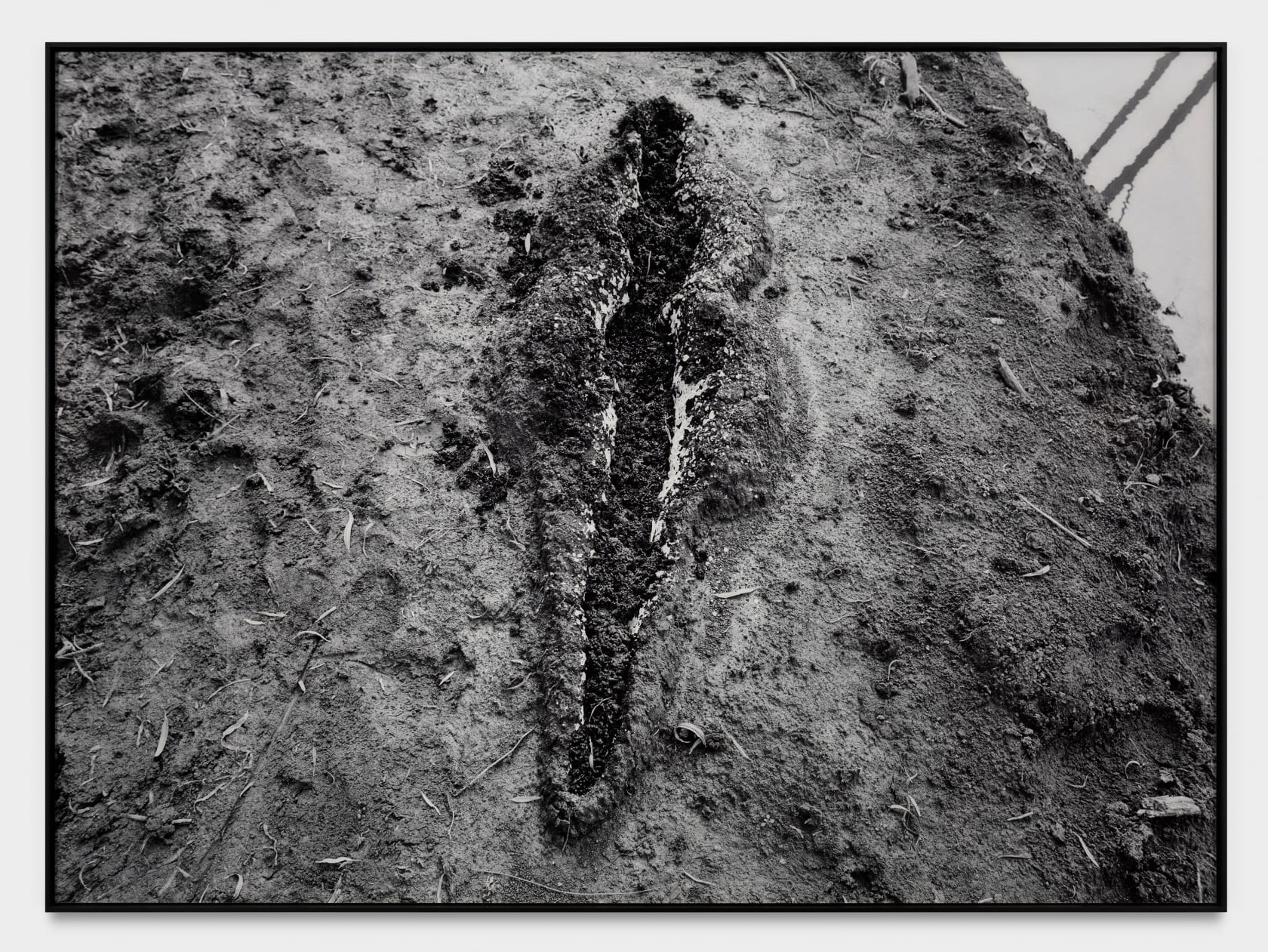 Ana Mendieta Black Venus, 1980 Black and white photograph Photo: 39 1/4 x 53 3/4 in. (99.7 x 136.5 cm)...