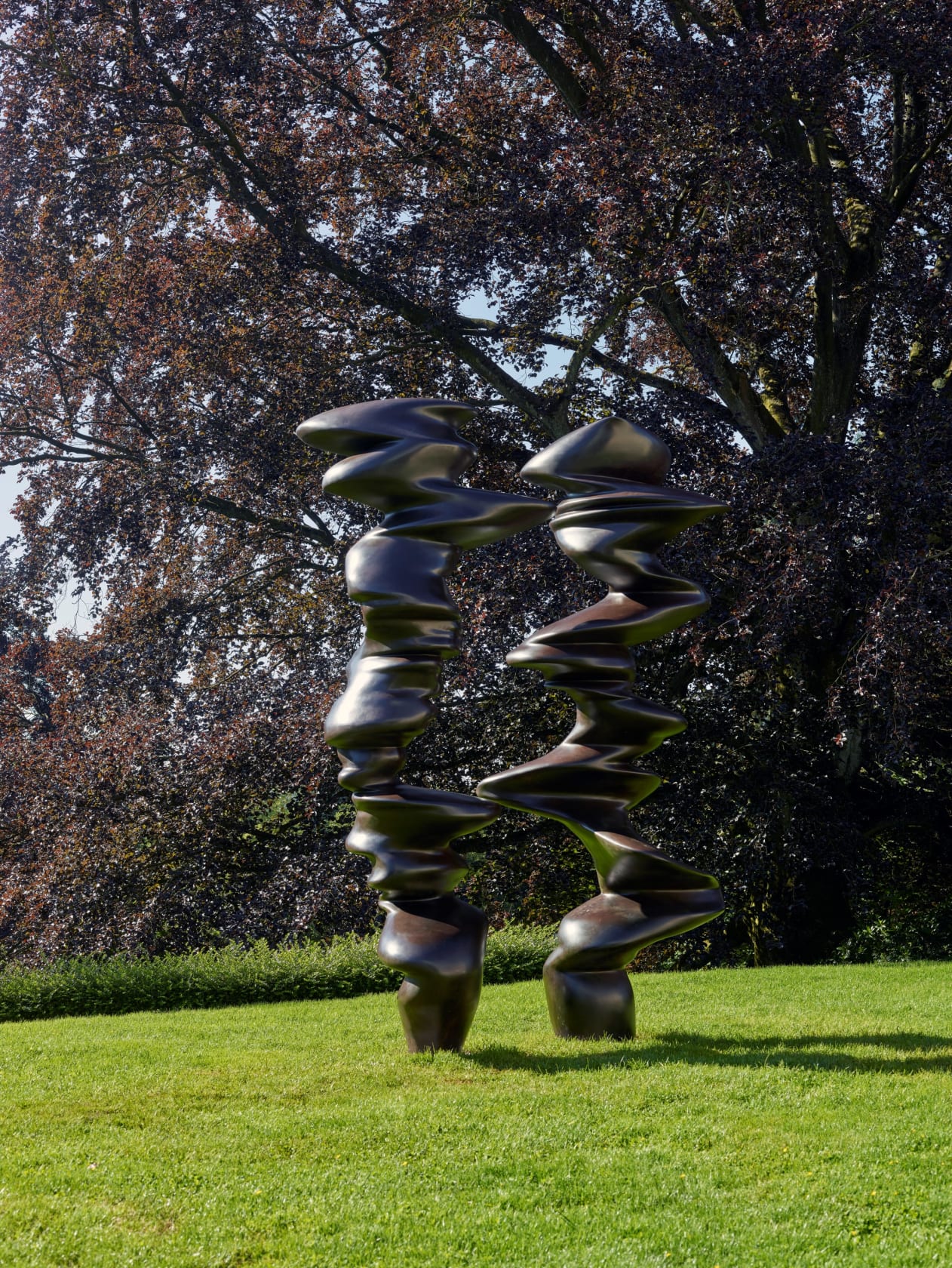 Tony Cragg, Pair, 2019