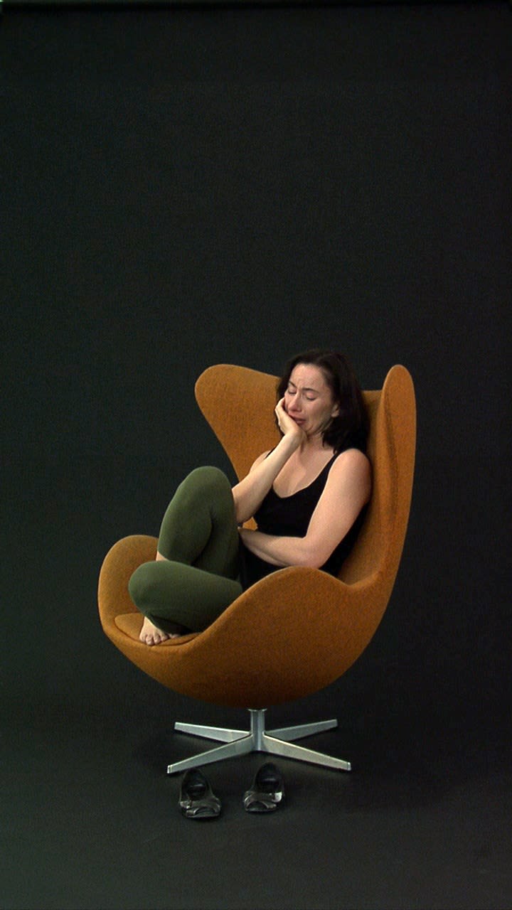 Andrea Fraser, Projection, 2007