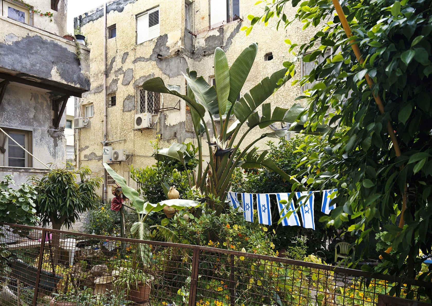 Thomas Struth, Front Yard, Tel Aviv