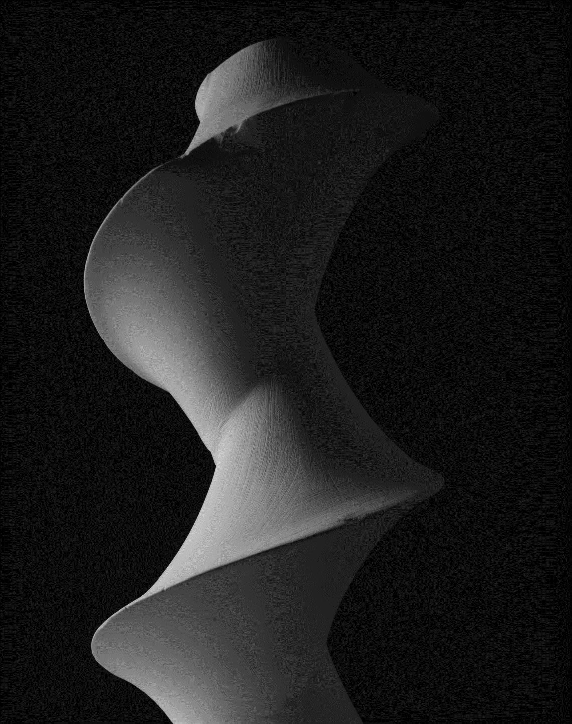 Hiroshi Sugimoto, Dini's surface: a surface of constant negative curvature obtained by twisting a pseudosphere, 2004