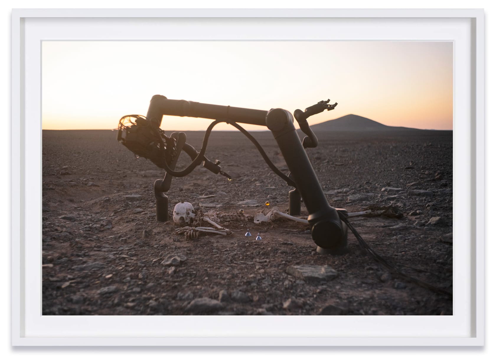 Pierre Huyghe, Camata II, 2024