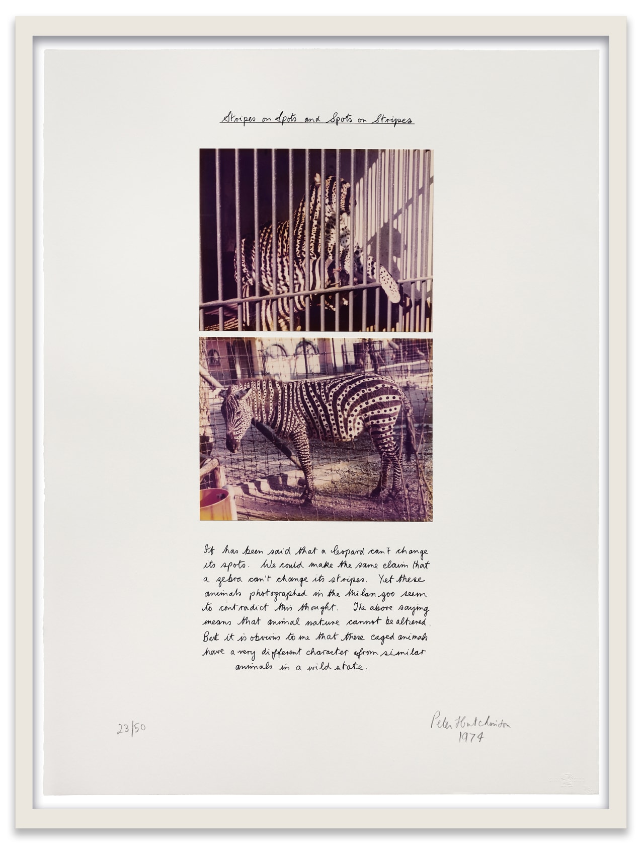 Peter Hutchinson Stripes on Spots and Spots on Stripes, 1974 Color photographs and screenprint on paper 30 x 22 in....