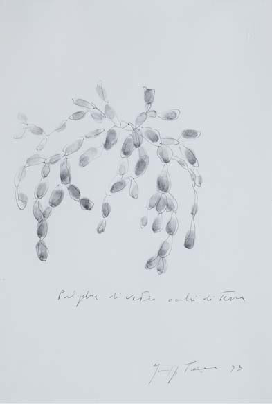 Giuseppe Penone Palpebre di vetro, occhi di terra (Leaves of Glass, Eyes of Earth), 1993