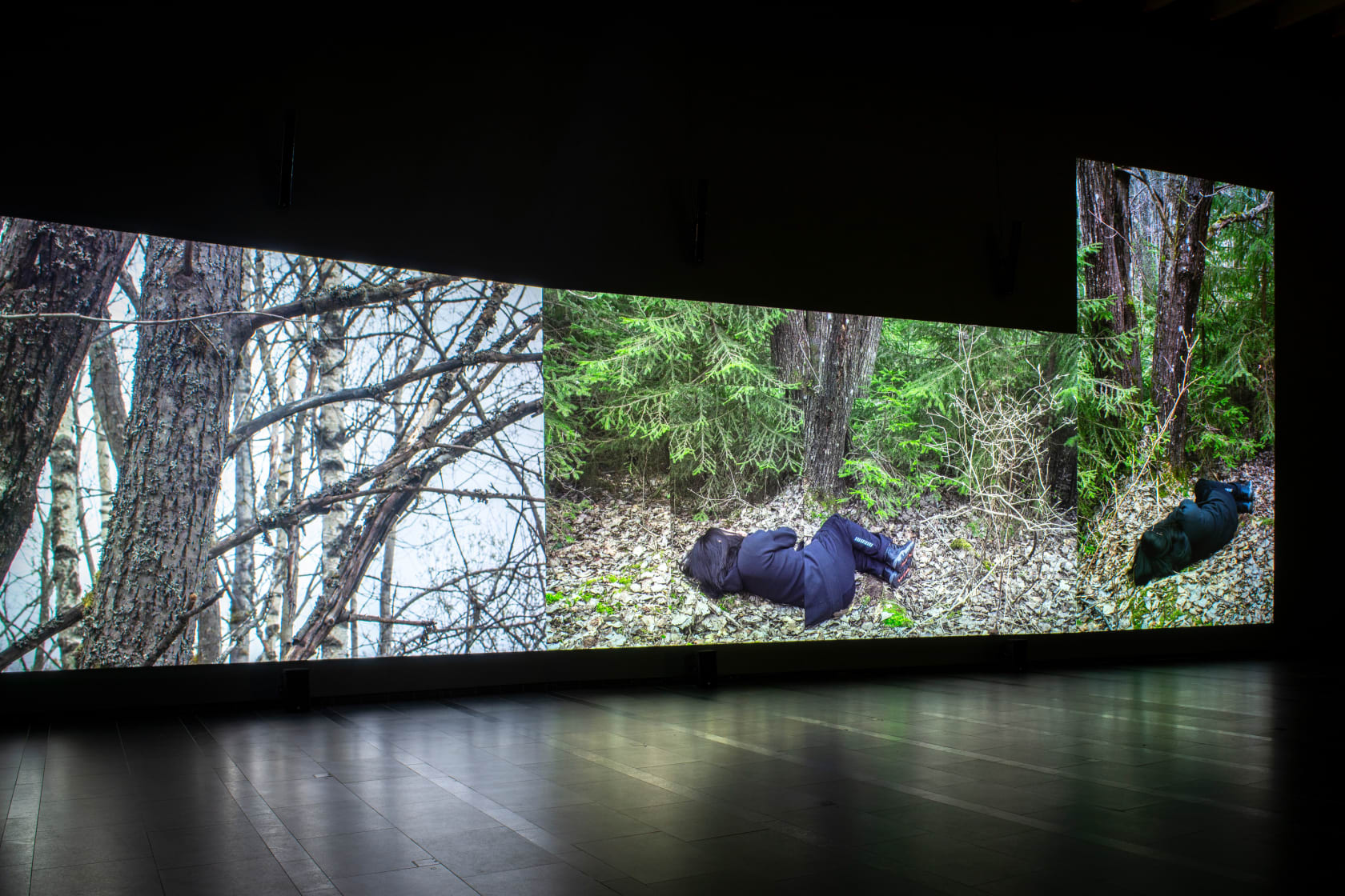 Eija-Liisa Ahtila, Reflections of a Forest - Heijastus Metsästä, 2025