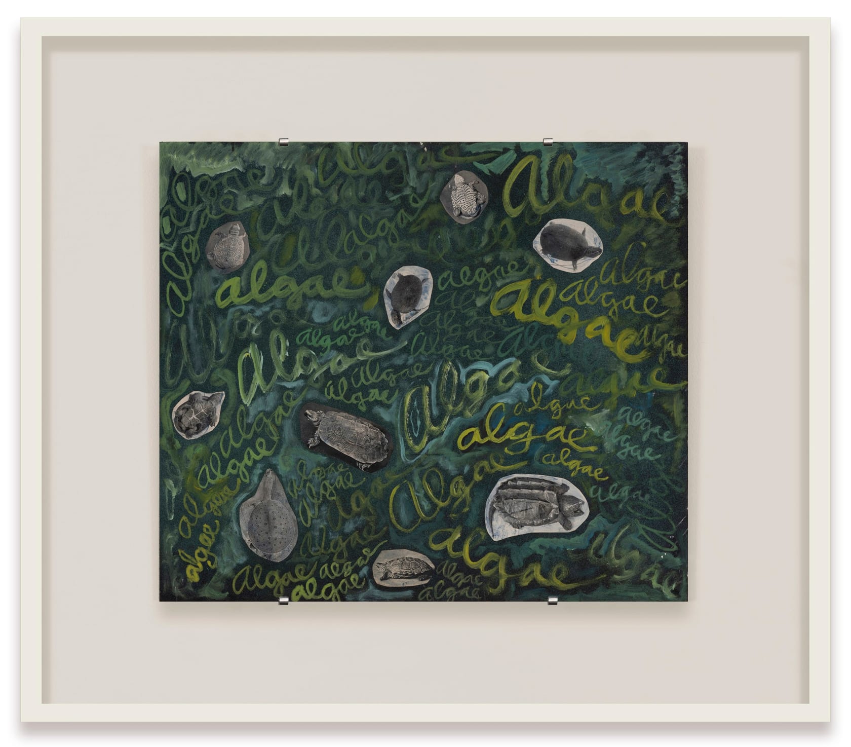 Robert Smithson, Algae, algae, ca. 1961-1963