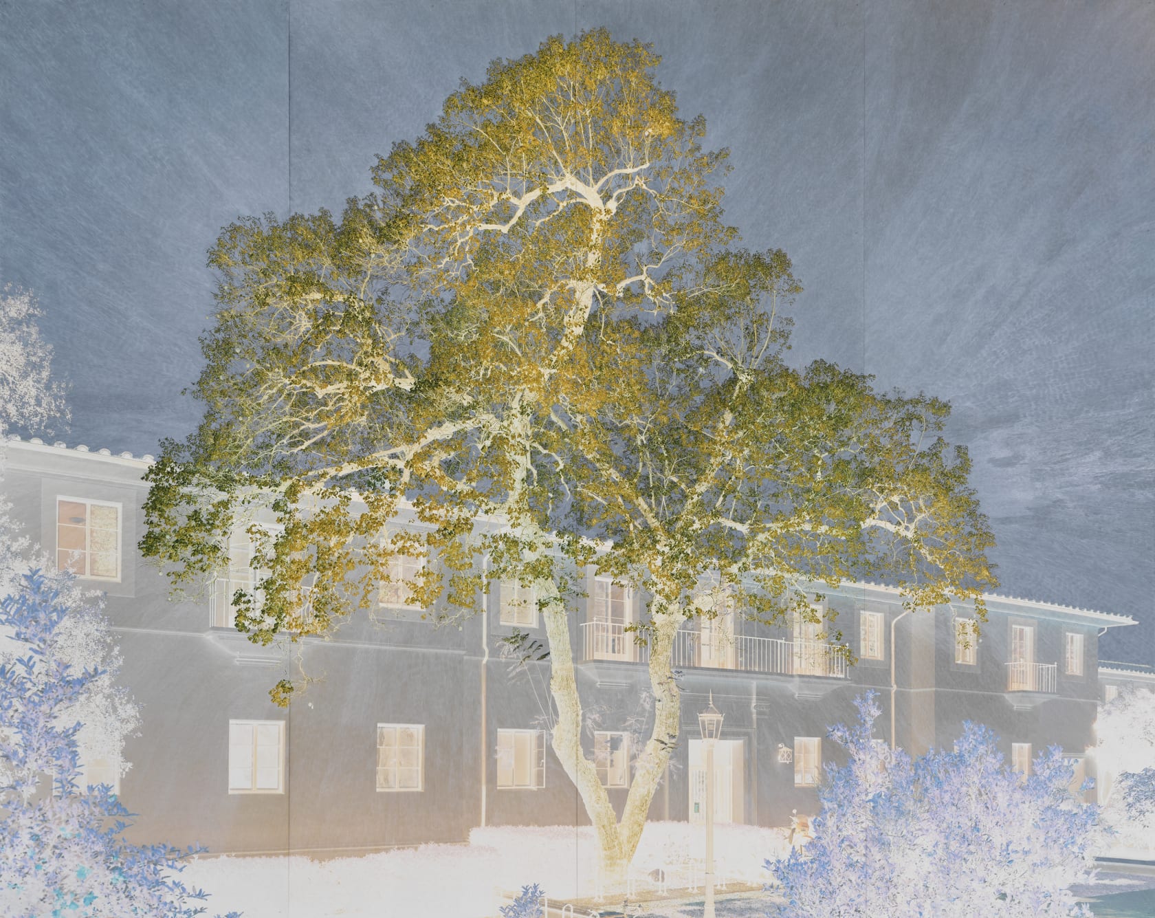 Tacita Dean, Purgatory (3rd Cornice), 2021