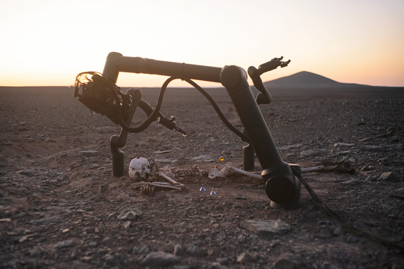 Pierre Huyghe, Camata II, 2024