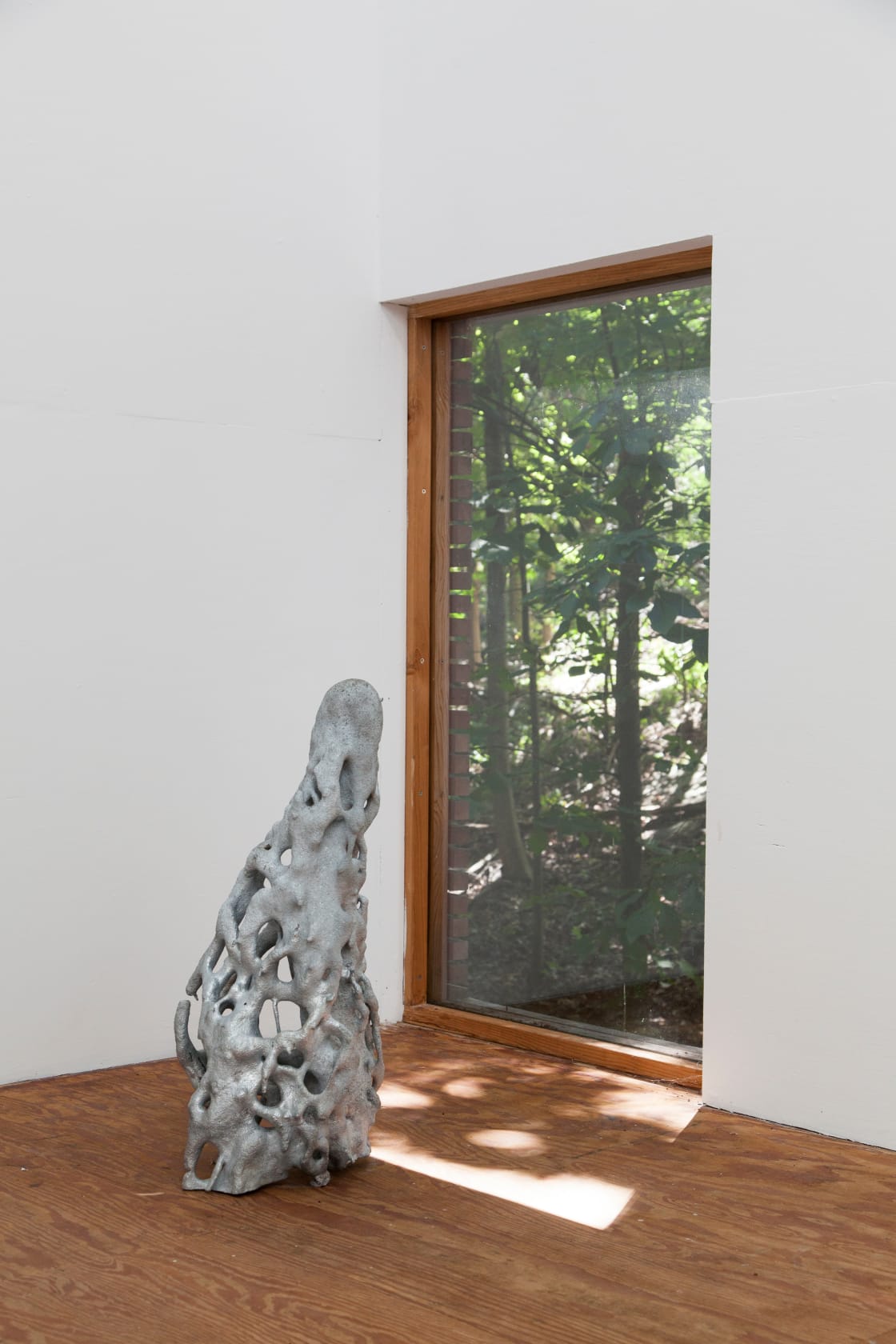 Agnieszka Kurant, A.A.I. (System's Negative) No. 4, 2016