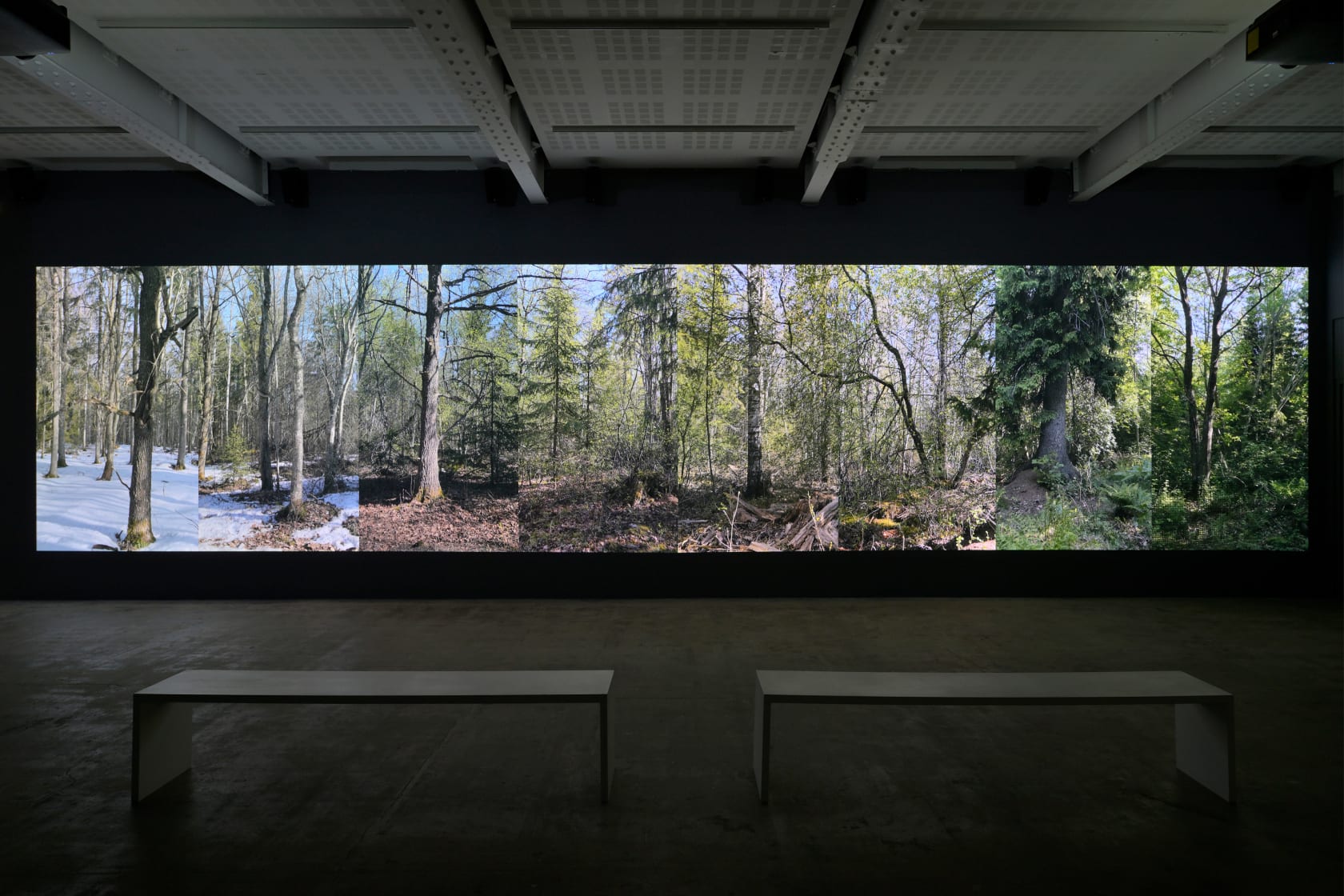 Eija-Liisa Ahtila, APRIL ≈ 61°01' 24°27', 2024