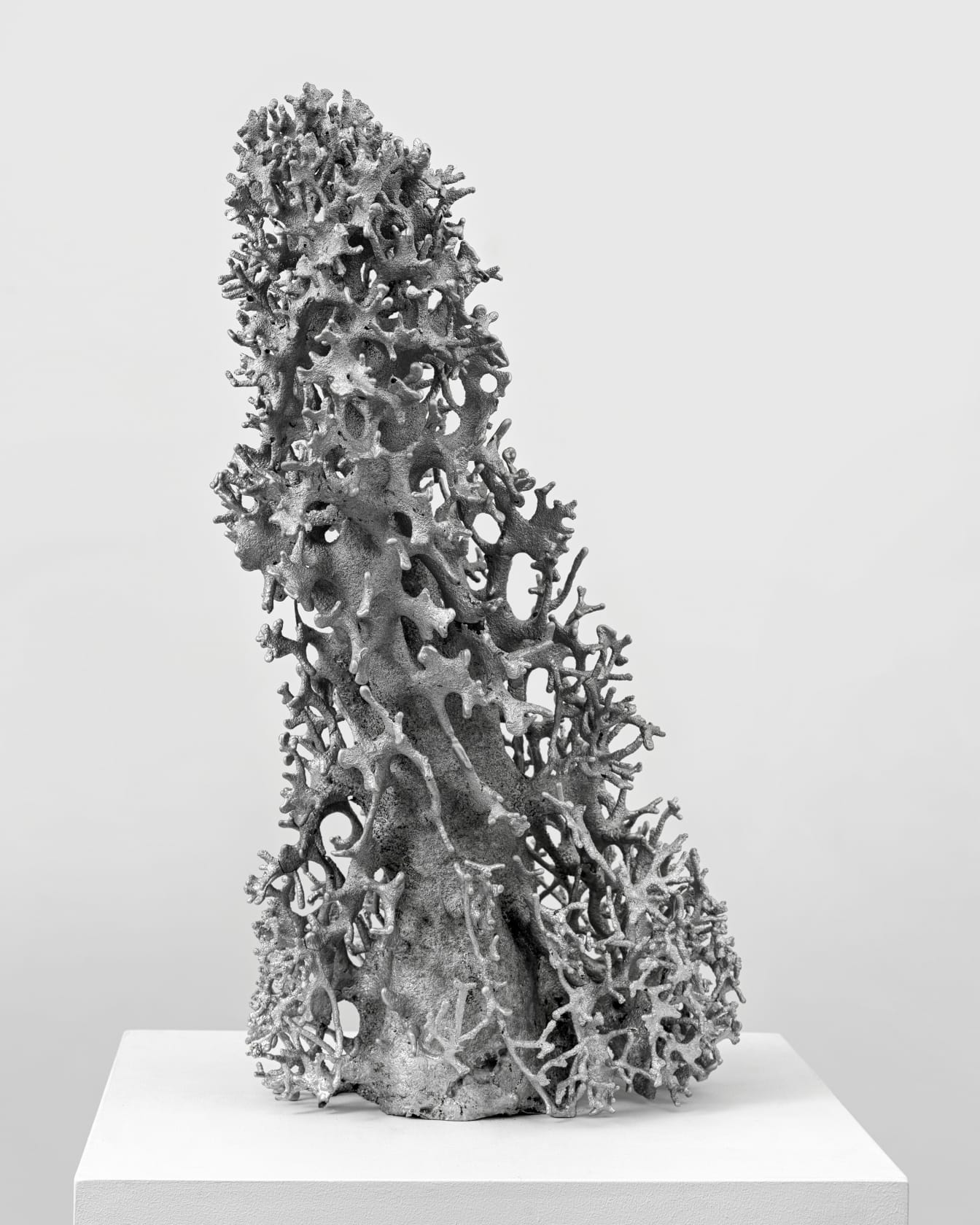 Agnieszka Kurant, A.A.I (Systems Negative) 11, 2024