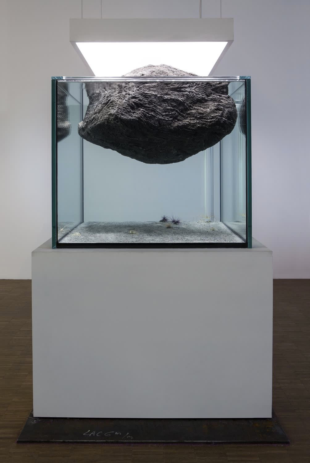 Pierre Huyghe, Cambrian Explosion 17, 2016