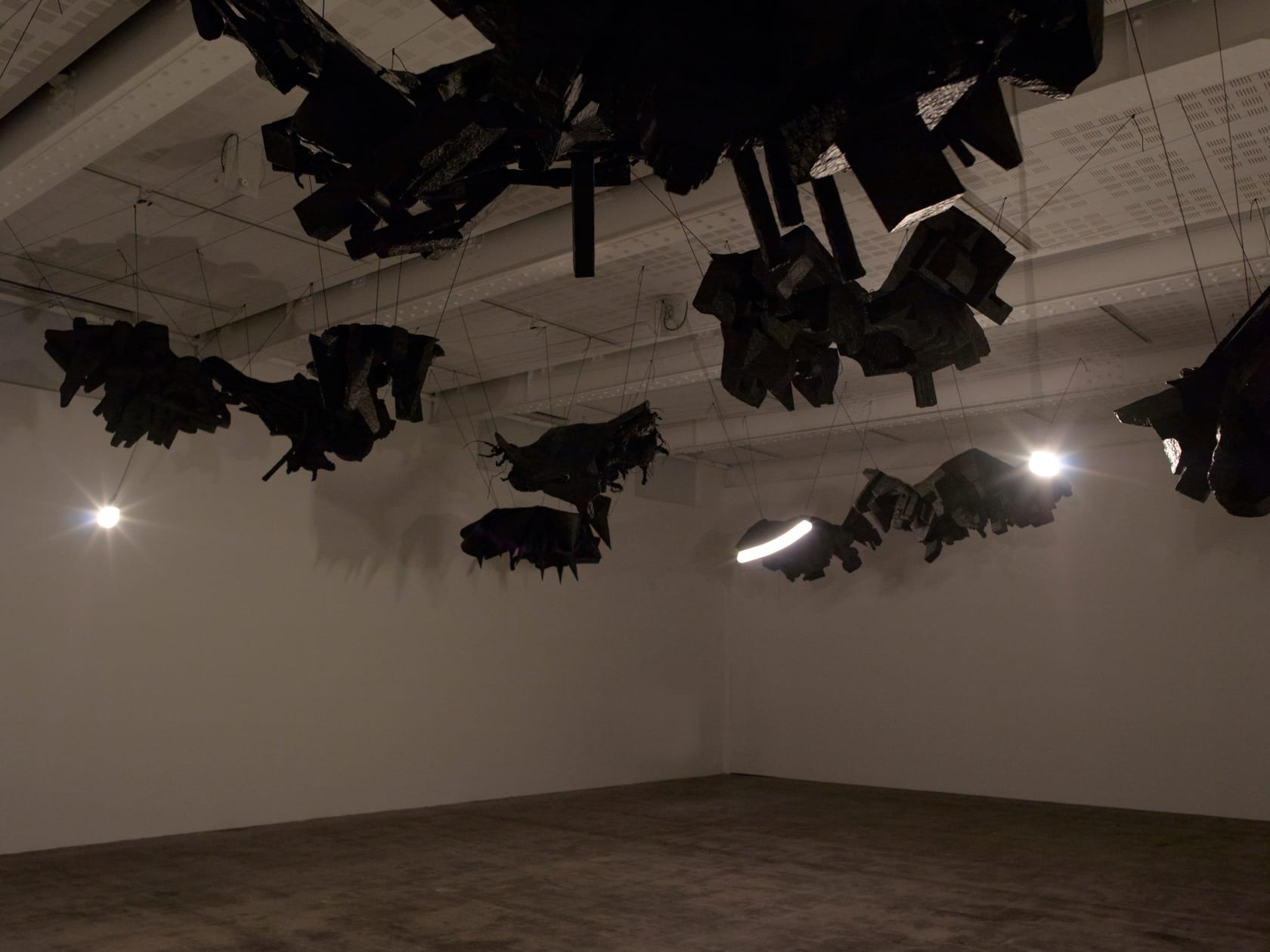 Annette Messager, Black Continents, 2010-2012
