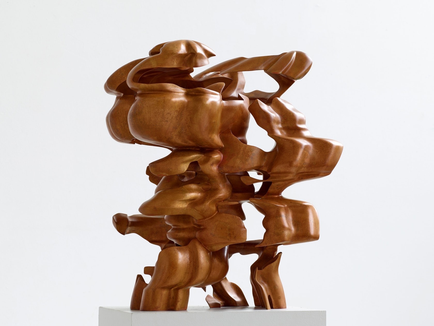 Tony Cragg, Hollow Head, 2021