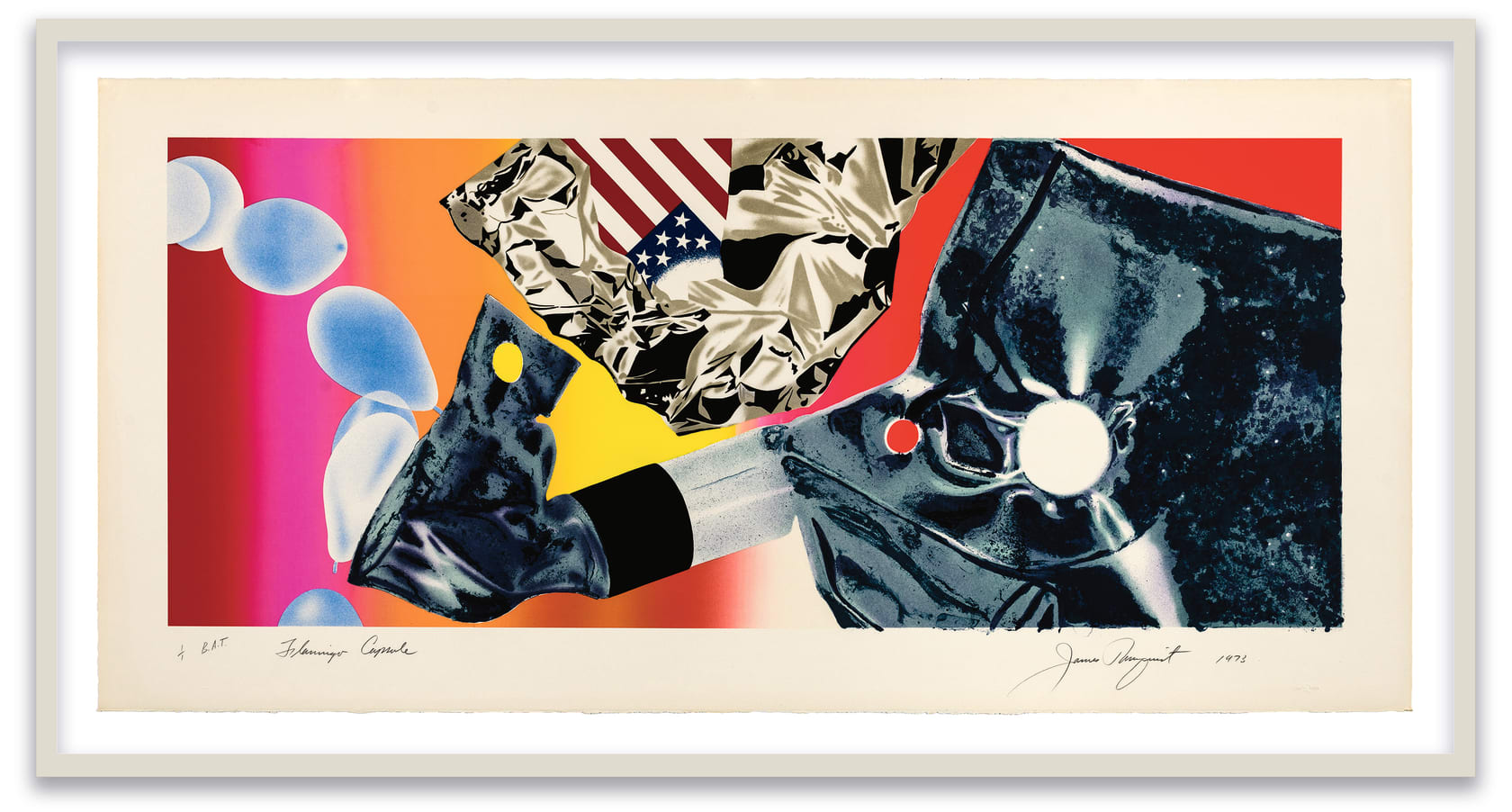 James Rosenquist, Flamingo Capsule, 1973
