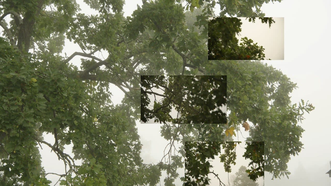 Eija-Liisa Ahtila, On Breathing, 2024