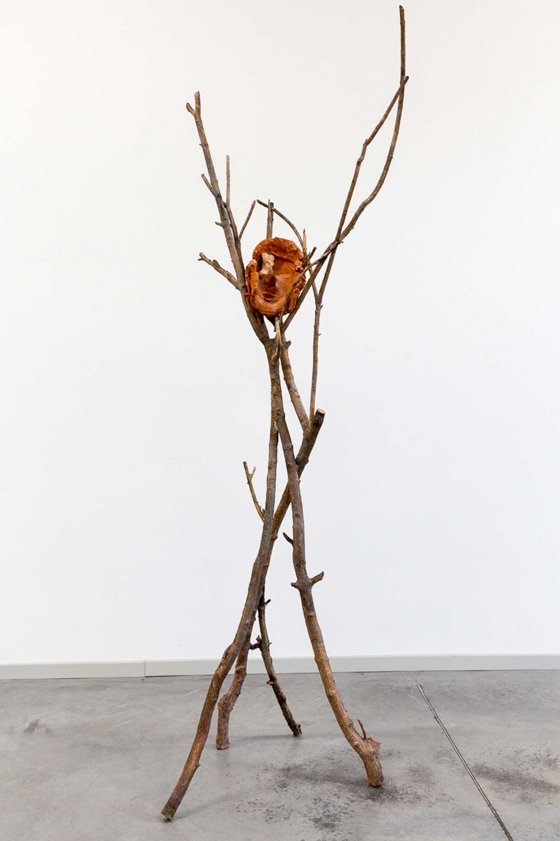 Giuseppe Penone Terra su terra - Volto (Earth on Earth - Face), 2014