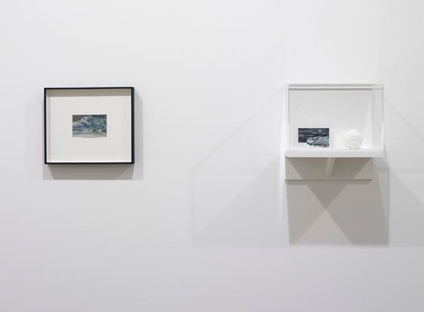 Tacita Dean Salt (A Collection), 2013-2014