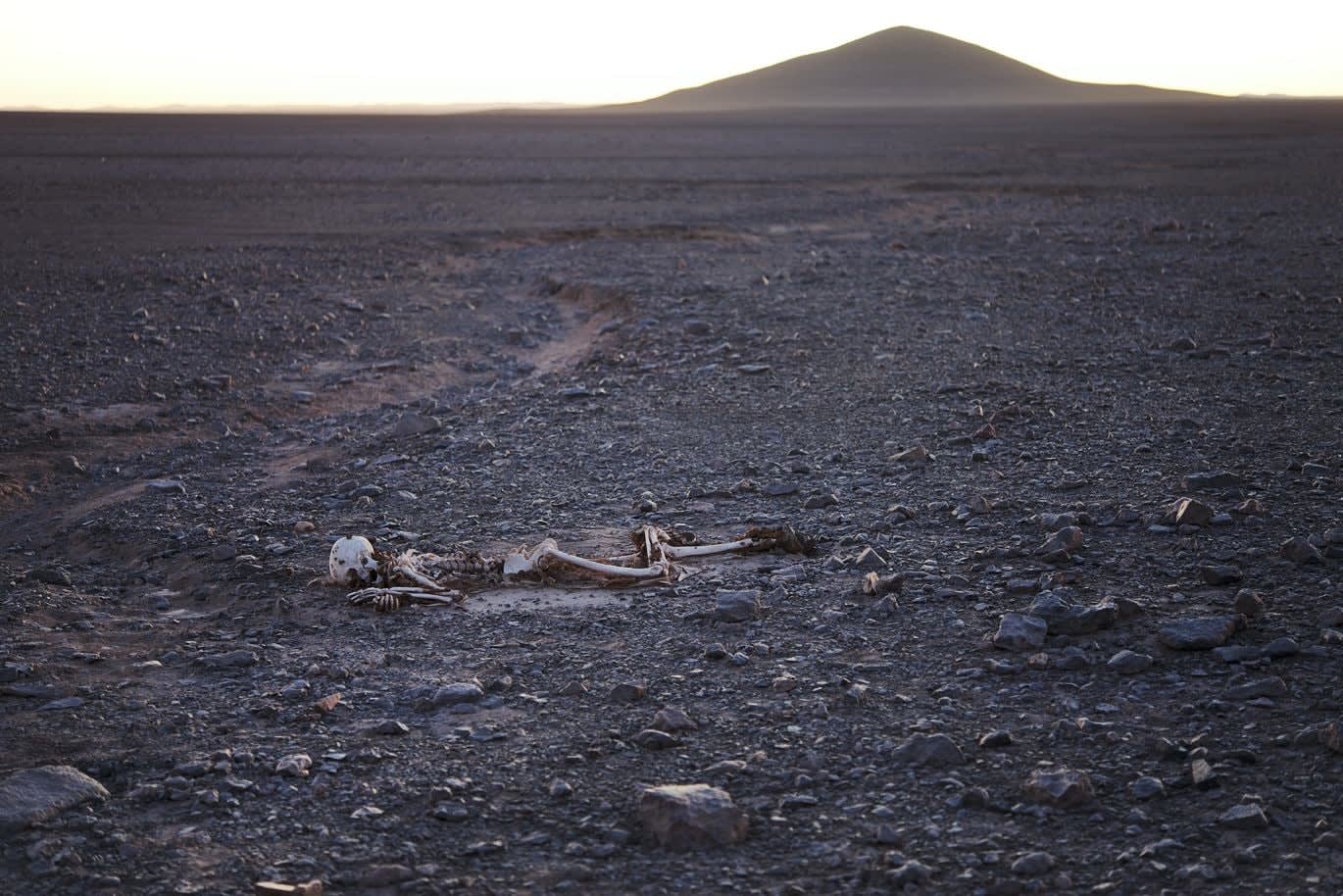 Pierre Huyghe, Cerro Indio Muerto, 2016