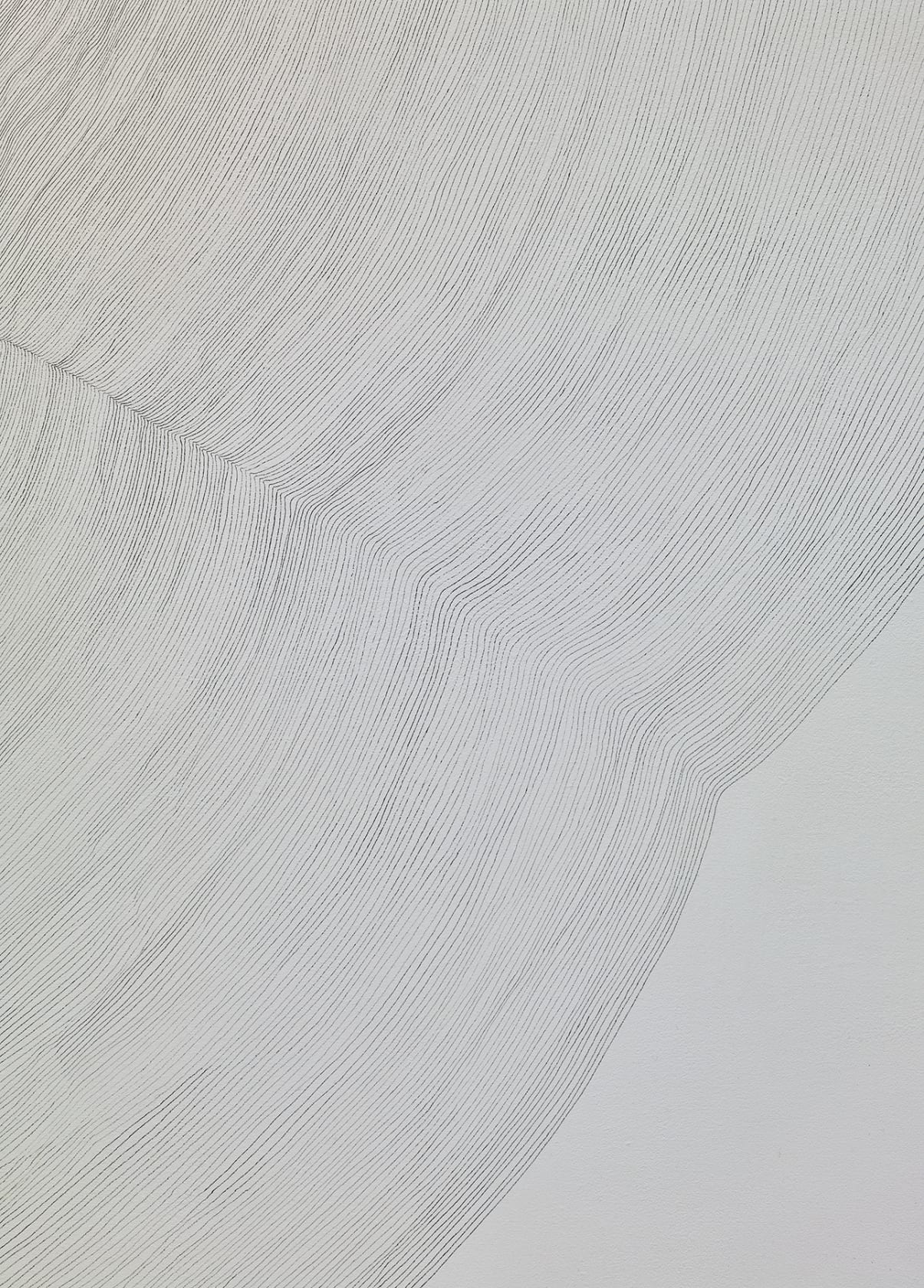 Giuseppe Penone Propagazione, 2011