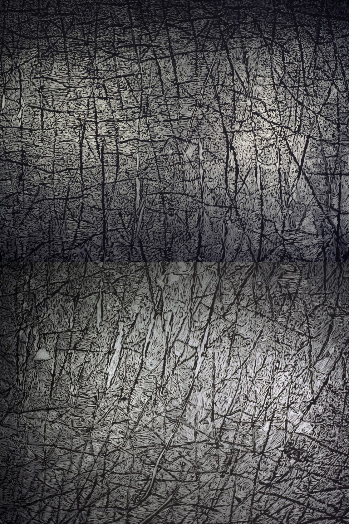 Giuseppe Penone Pelle di grafite - Riflesso di Adularia, 2007