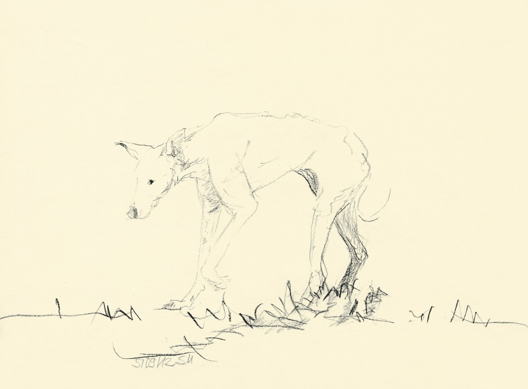 Sabine Moritz, Hund I-III/Dog I-III, 2012