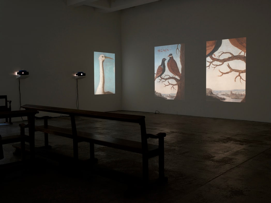 Lothar Baumgarten, Fragmento Brasil / Vom Ursprung der Tischsitten, unique version, 1971- 2005