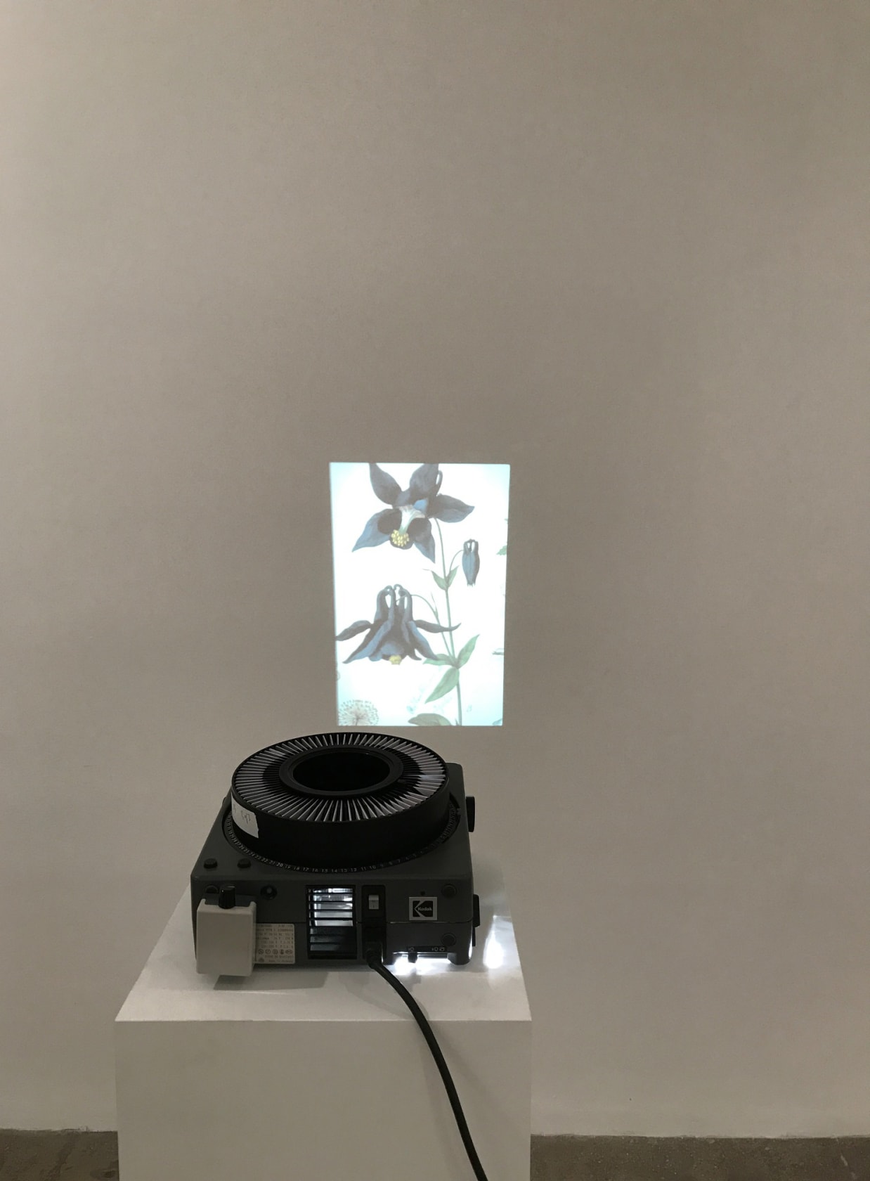 Marcel Broodthaers Caricatures: Grandville, 1967