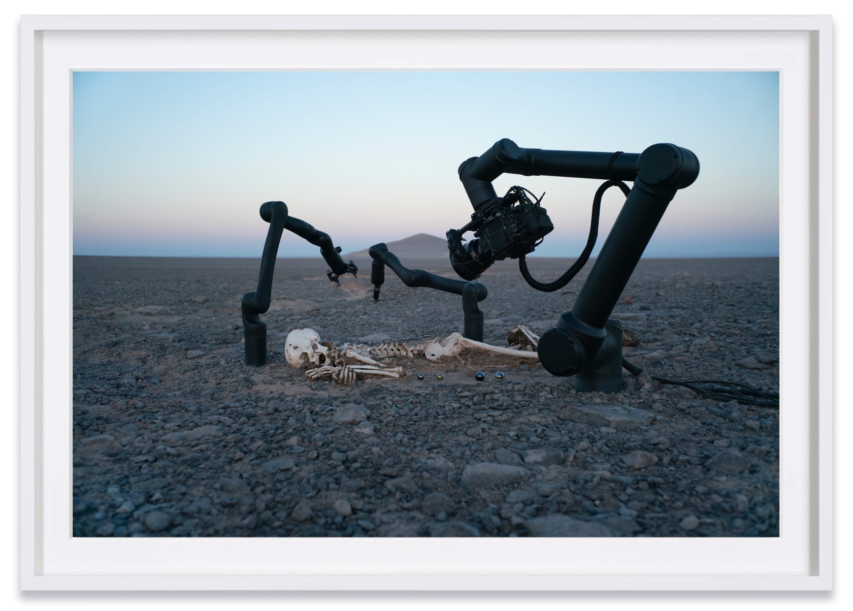 Pierre Huyghe, Camata I, 2024