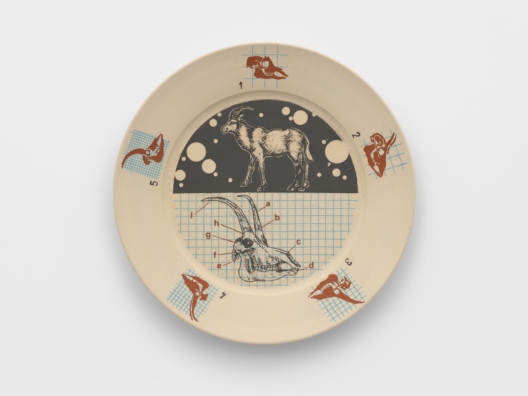 Tavares Strachan, Ibex, 2024
