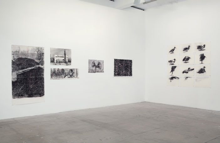 Corner gallery view of charcoal drawings on paper of varying size, with five drawings on one wall and twelve drawings on the other wall. 