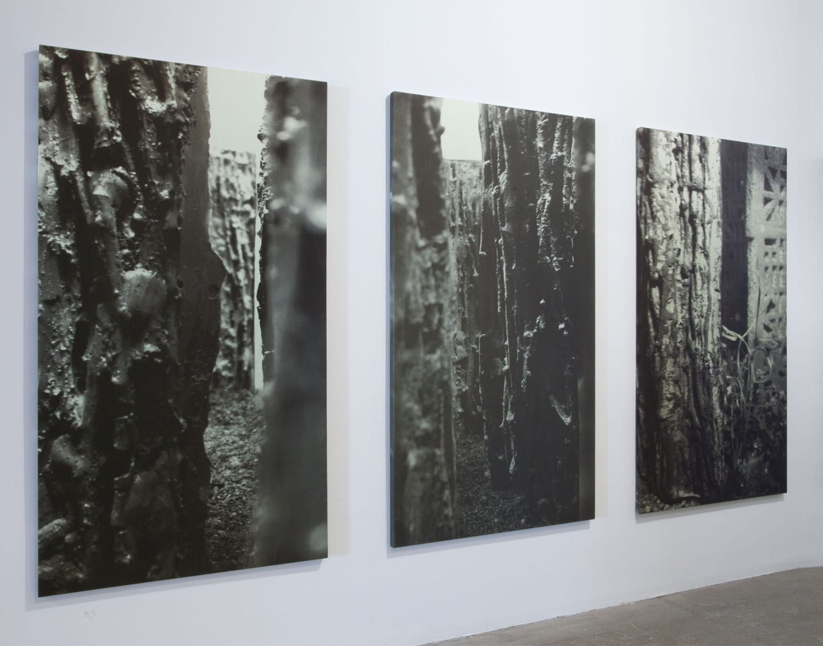 3 large underwater photographs show stone walls and plant life.