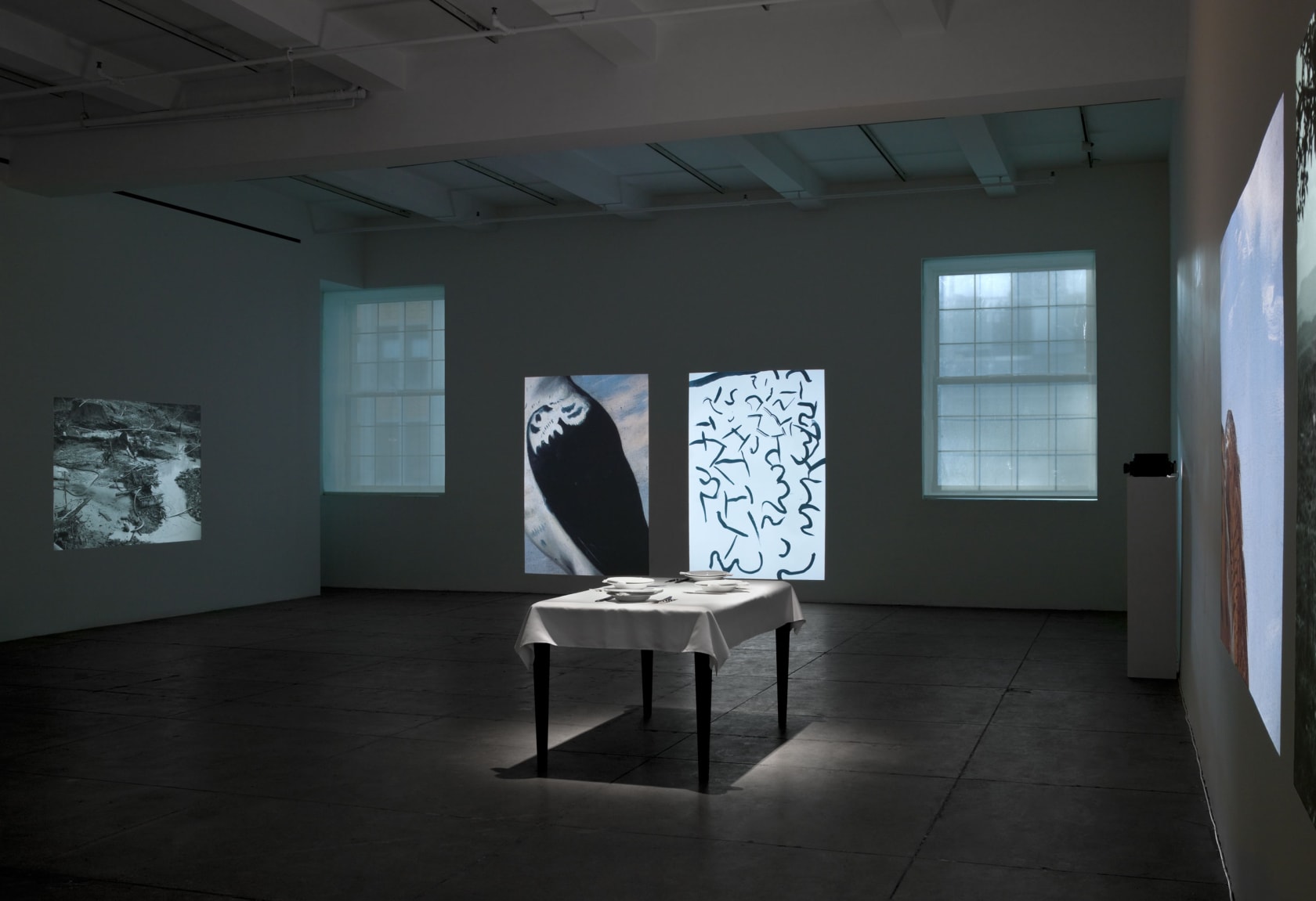 A dining table with a table cloth and white plates in the middle of the room is surrounded by large projections of black-and-white landscapes, birds, feather-like patterns and the sky. 
